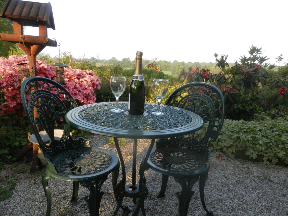 La Petite Cretouffiere - Naturiste Accommodation - Adult Only Colombiers-du-Plessis Eksteriør billede